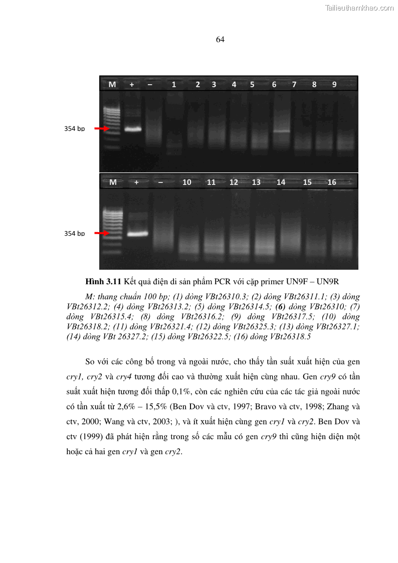 Luận án tiến sĩ bảo vệ thực vật Nghiên cứu sự đa dạng và độc tính của vi khuẩn Bacillus thuringiensis var. kurstaki trên sâu ăn lá hại rau ở Việt Nam - 8 Trang 90