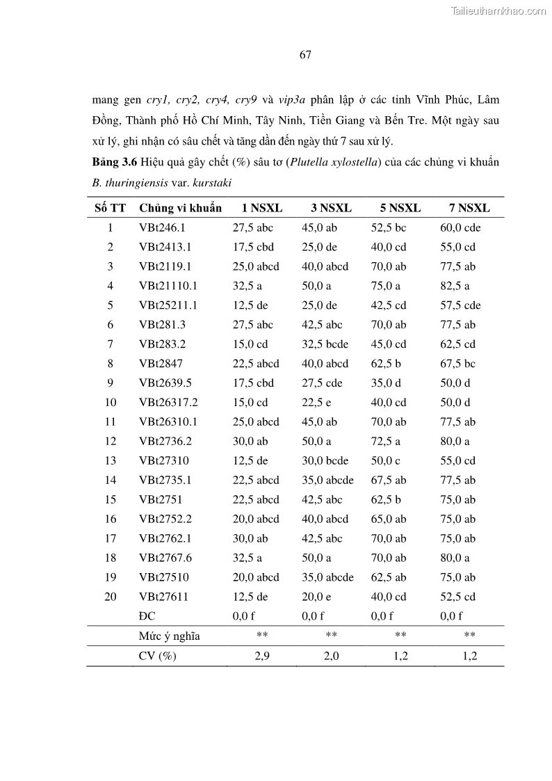 Luận án tiến sĩ bảo vệ thực vật Nghiên cứu sự đa dạng và độc tính của vi khuẩn Bacillus thuringiensis var. kurstaki trên sâu ăn lá hại rau ở Việt Nam - 8 Trang 93