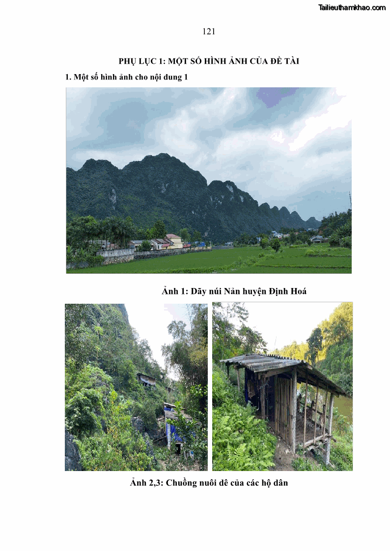 Luận án tiến sĩ chăn nuôi Đặc điểm sinh trưởng và mối tương quan đa hình gen POU1F1 với tính trạng sinh trưởng của dê địa phương Định Hóa - 12 Trang 134