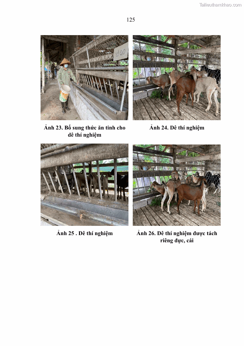 Luận án tiến sĩ chăn nuôi Đặc điểm sinh trưởng và mối tương quan đa hình gen POU1F1 với tính trạng sinh trưởng của dê địa phương Định Hóa - 12 Trang 138