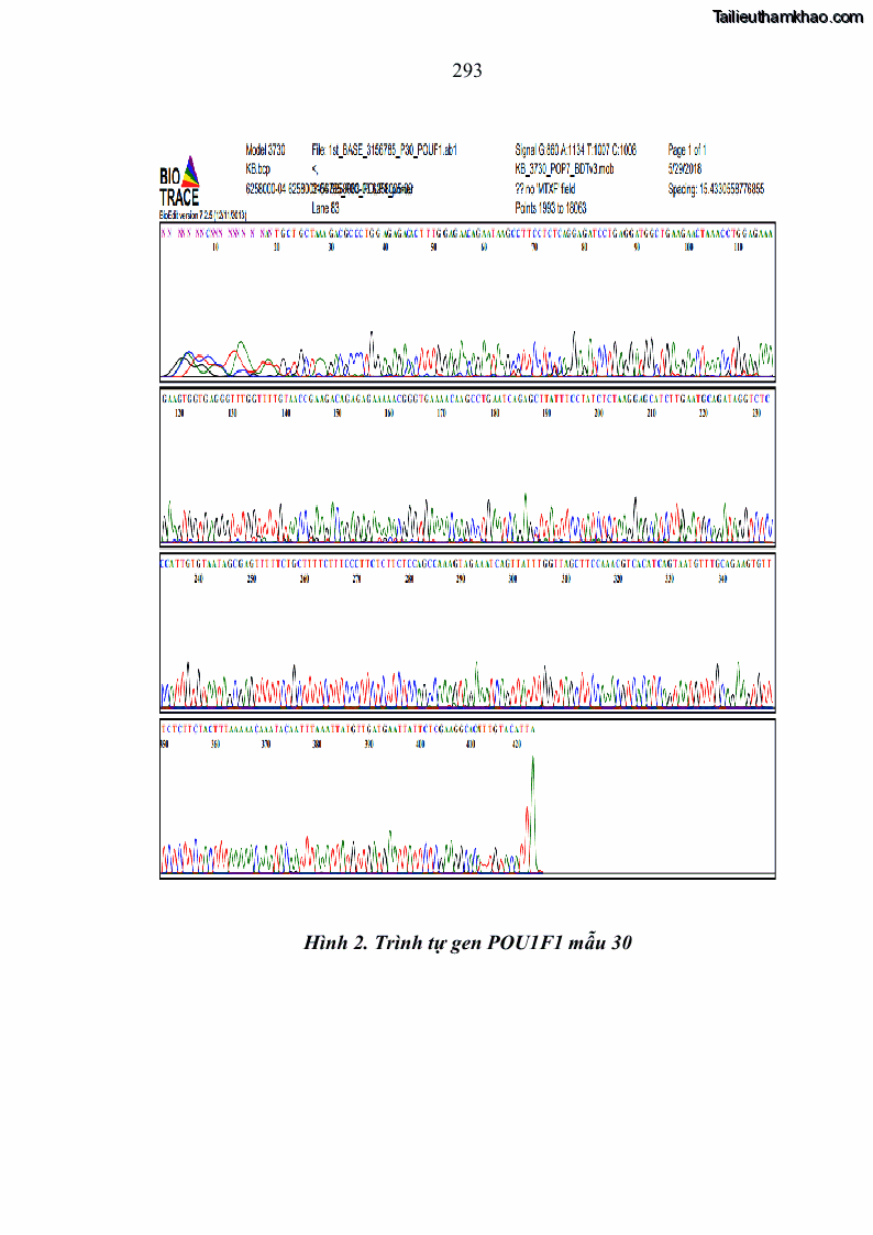 Luận án tiến sĩ chăn nuôi Đặc điểm sinh trưởng và mối tương quan đa hình gen POU1F1 với tính trạng sinh trưởng của dê địa phương Định Hóa - 26 Trang 306
