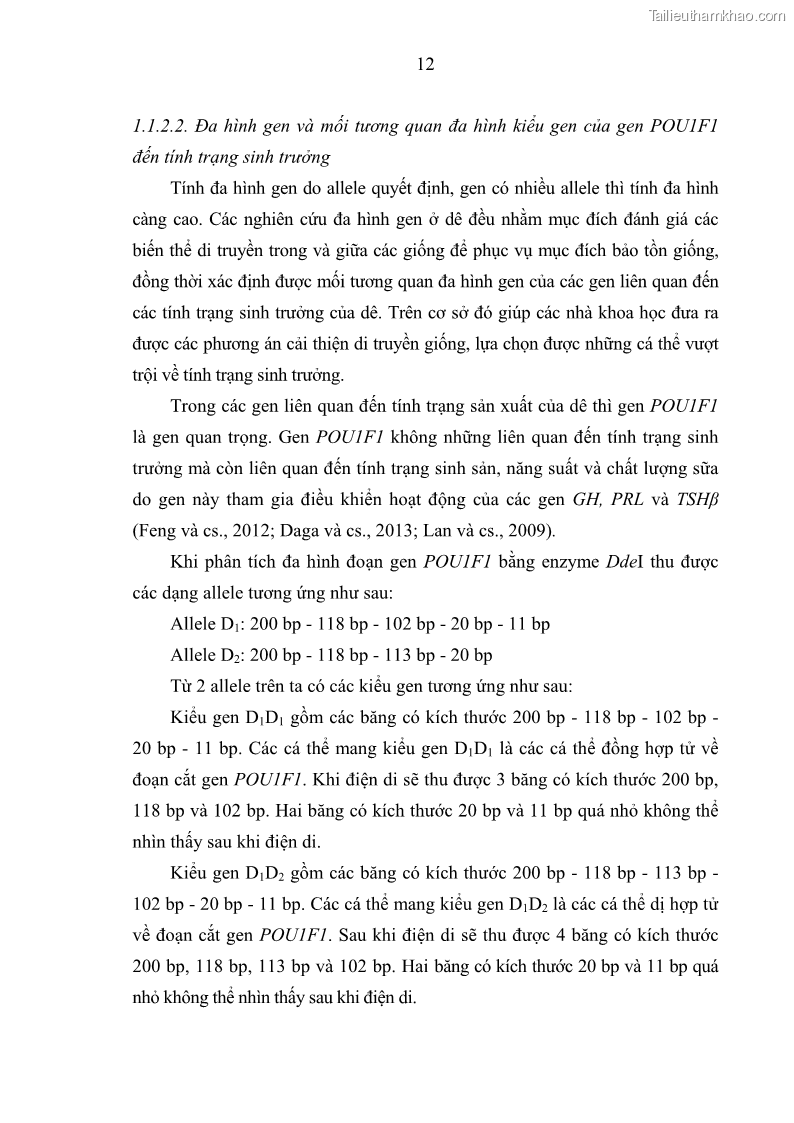 Luận án tiến sĩ chăn nuôi Đặc điểm sinh trưởng và mối tương quan đa hình gen POU1F1 với tính trạng sinh trưởng của dê địa phương Định Hóa - 3 Trang 25