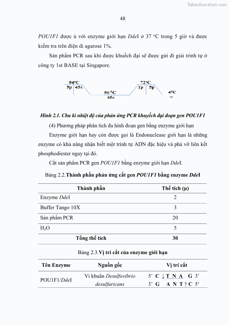 Luận án tiến sĩ chăn nuôi Đặc điểm sinh trưởng và mối tương quan đa hình gen POU1F1 với tính trạng sinh trưởng của dê địa phương Định Hóa - 6 Trang 61