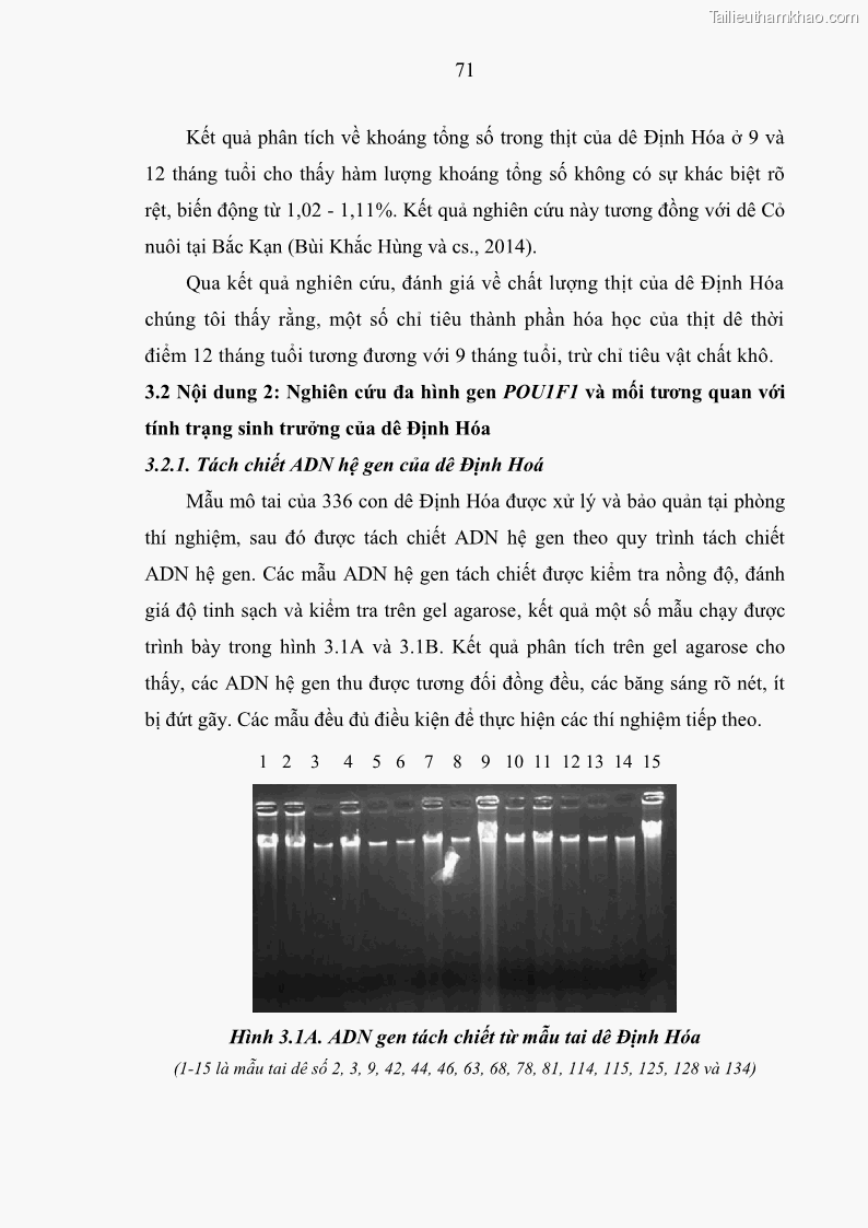 Luận án tiến sĩ chăn nuôi Đặc điểm sinh trưởng và mối tương quan đa hình gen POU1F1 với tính trạng sinh trưởng của dê địa phương Định Hóa - 7 Trang 84
