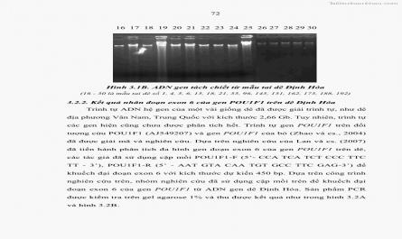 Luận án tiến sĩ chăn nuôi Đặc điểm sinh trưởng và mối tương quan đa hình gen POU1F1 với tính trạng sinh trưởng của dê địa phương Định Hóa - 8