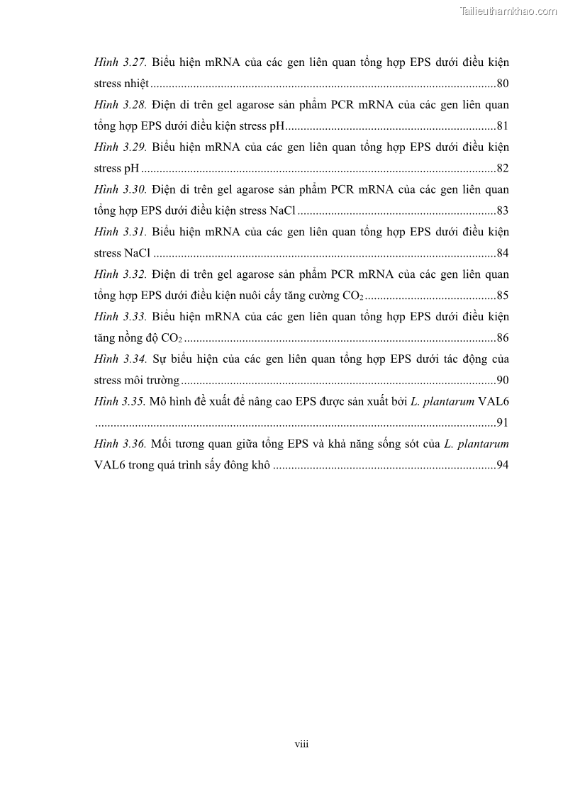 Luận án tiến sĩ công nghệ sinh học Nghiên cứu các điều kiện stress môi trường đến khả năng tổng hợp exopolysaccharides của vi khuẩn Lactobacillus plantarum - 1 Trang 12