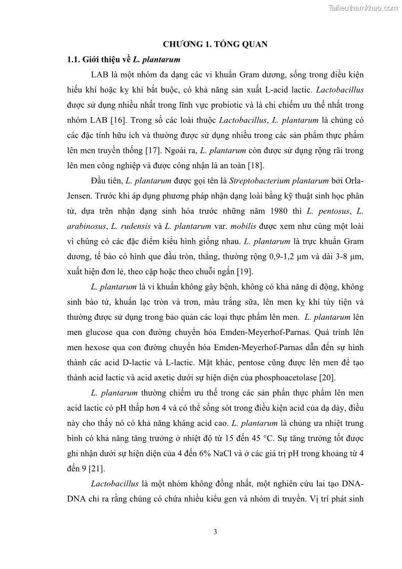 Luận án tiến sĩ công nghệ sinh học Nghiên cứu các điều kiện stress môi trường đến khả năng tổng hợp exopolysaccharides của vi khuẩn Lactobacillus plantarum - 2 Trang 19