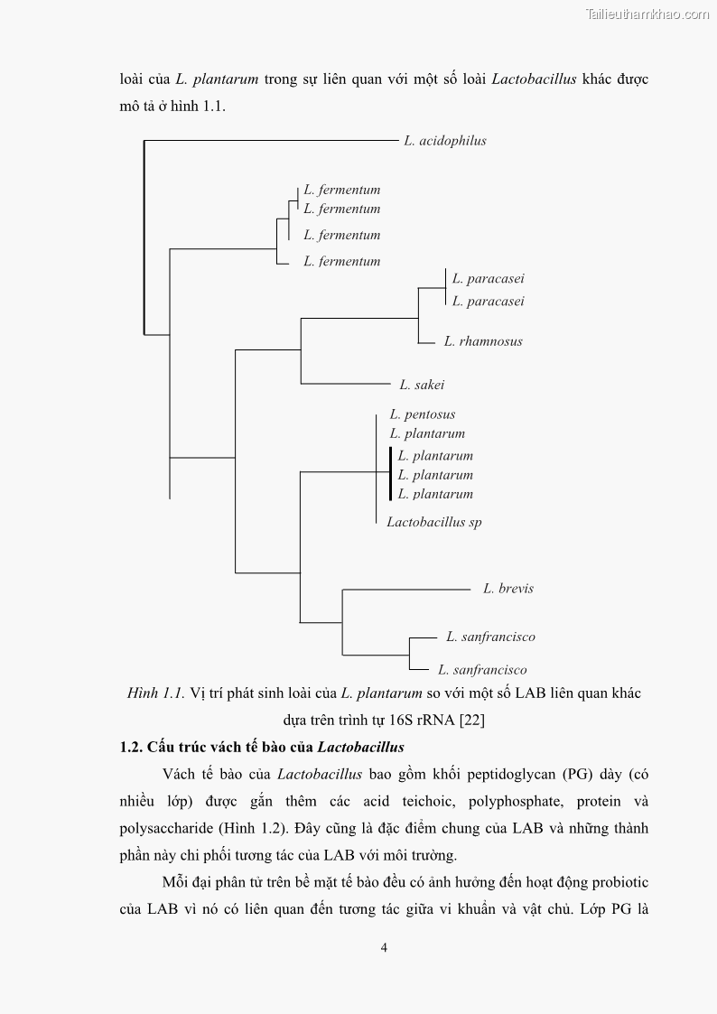 Luận án tiến sĩ công nghệ sinh học Nghiên cứu các điều kiện stress môi trường đến khả năng tổng hợp exopolysaccharides của vi khuẩn Lactobacillus plantarum - 2 Trang 20