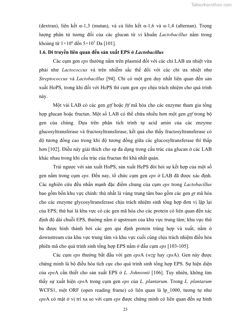 Luận án tiến sĩ công nghệ sinh học Nghiên cứu các điều kiện stress môi trường đến khả năng tổng hợp exopolysaccharides của vi khuẩn Lactobacillus plantarum - 4 Trang 39