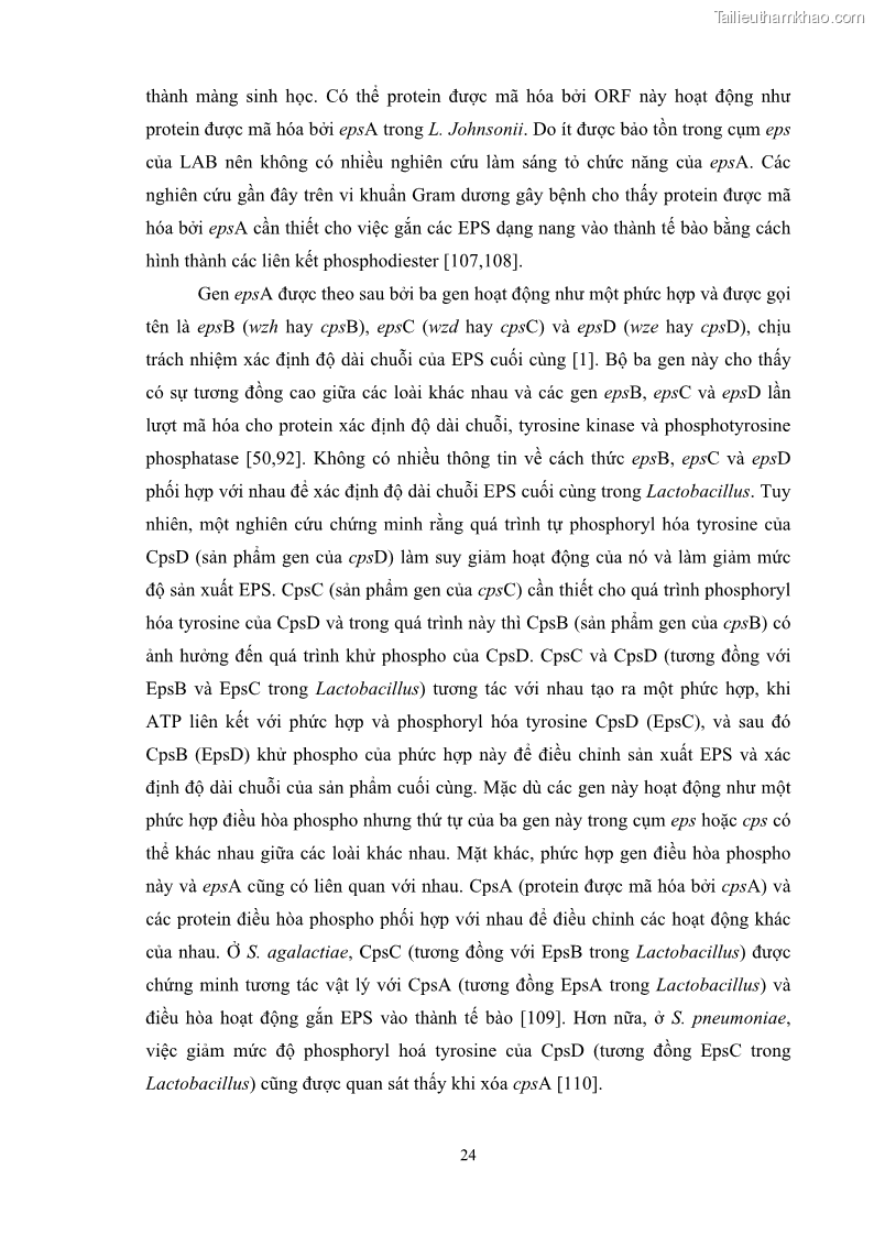 Luận án tiến sĩ công nghệ sinh học Nghiên cứu các điều kiện stress môi trường đến khả năng tổng hợp exopolysaccharides của vi khuẩn Lactobacillus plantarum - 4 Trang 40