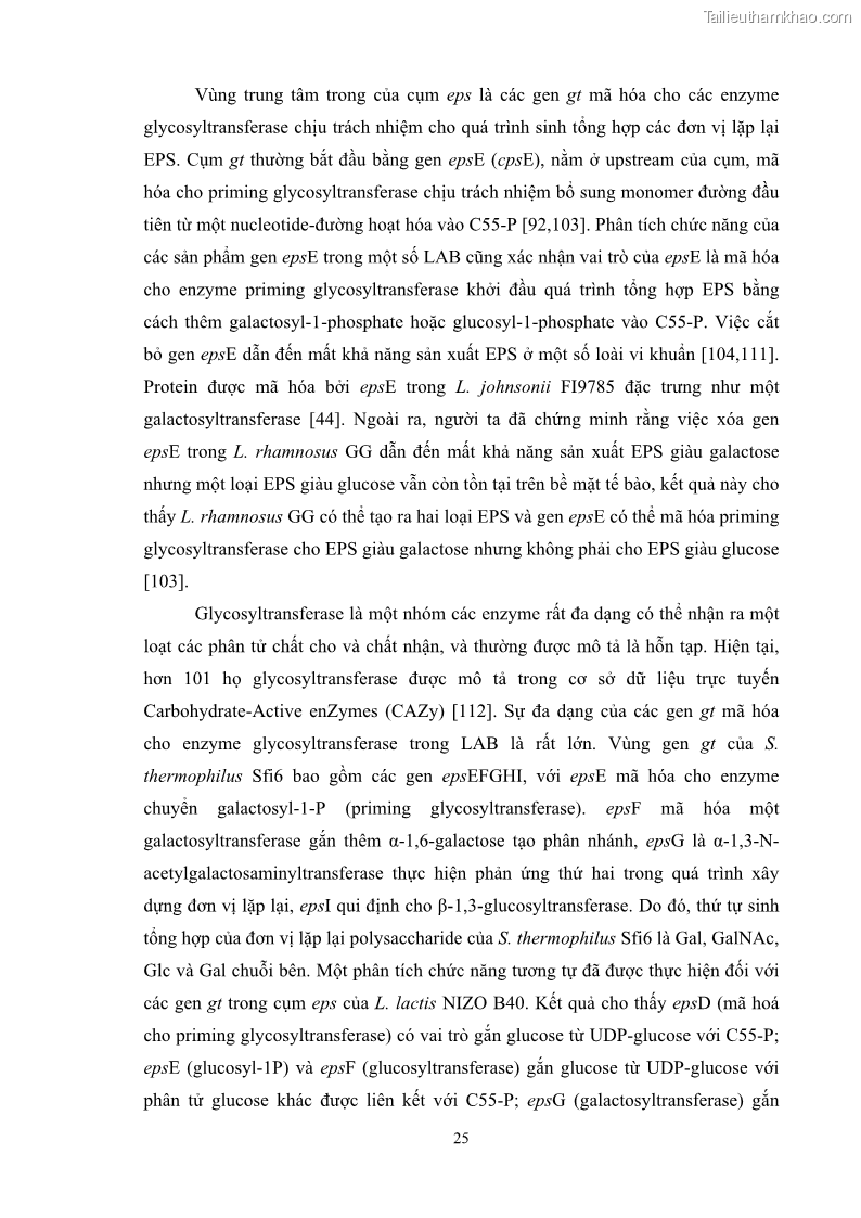 Luận án tiến sĩ công nghệ sinh học Nghiên cứu các điều kiện stress môi trường đến khả năng tổng hợp exopolysaccharides của vi khuẩn Lactobacillus plantarum - 4 Trang 41