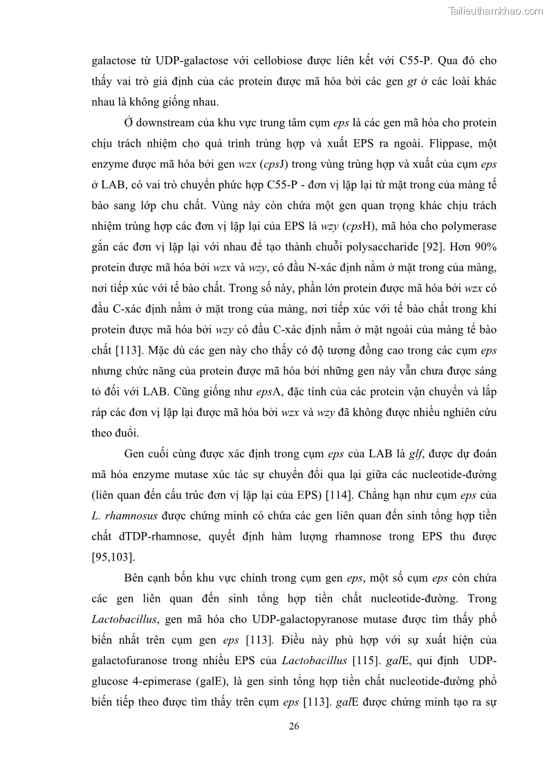Luận án tiến sĩ công nghệ sinh học Nghiên cứu các điều kiện stress môi trường đến khả năng tổng hợp exopolysaccharides của vi khuẩn Lactobacillus plantarum - 4 Trang 42