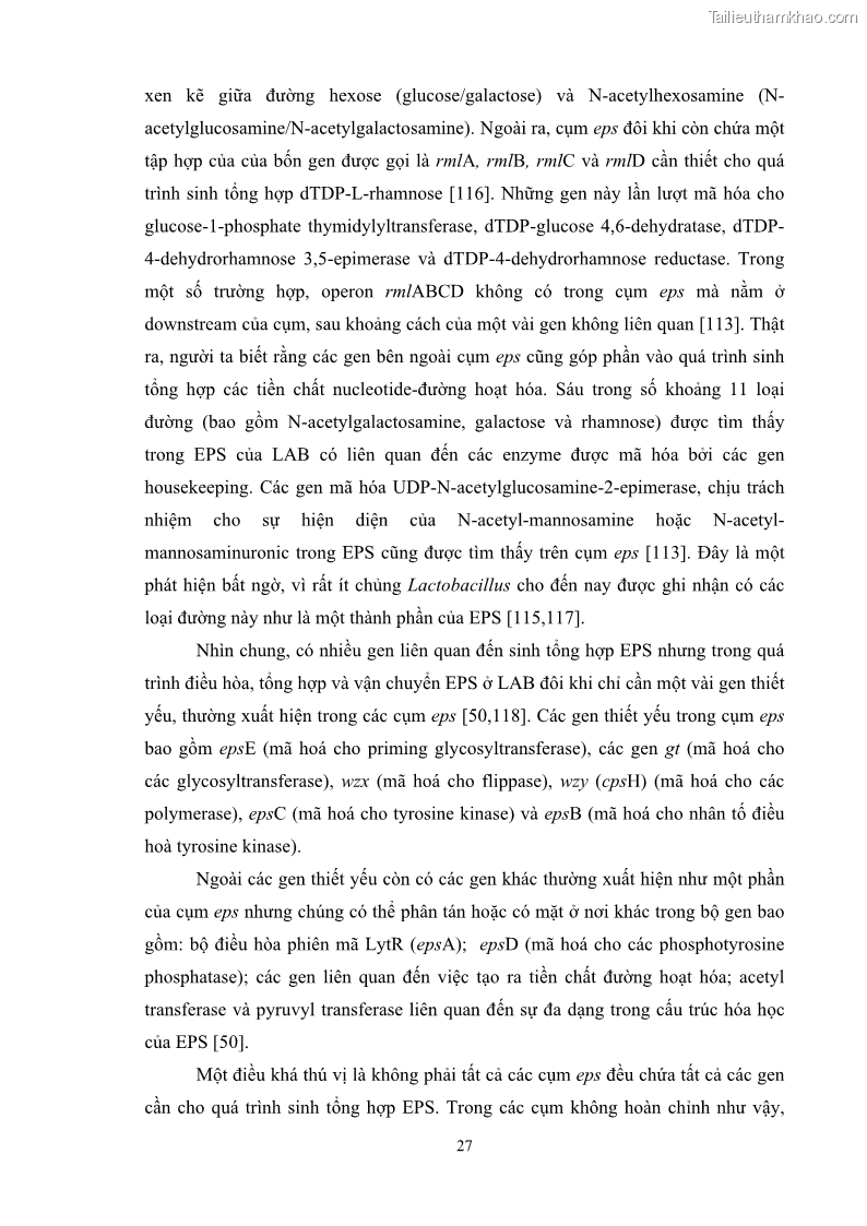 Luận án tiến sĩ công nghệ sinh học Nghiên cứu các điều kiện stress môi trường đến khả năng tổng hợp exopolysaccharides của vi khuẩn Lactobacillus plantarum - 4 Trang 43