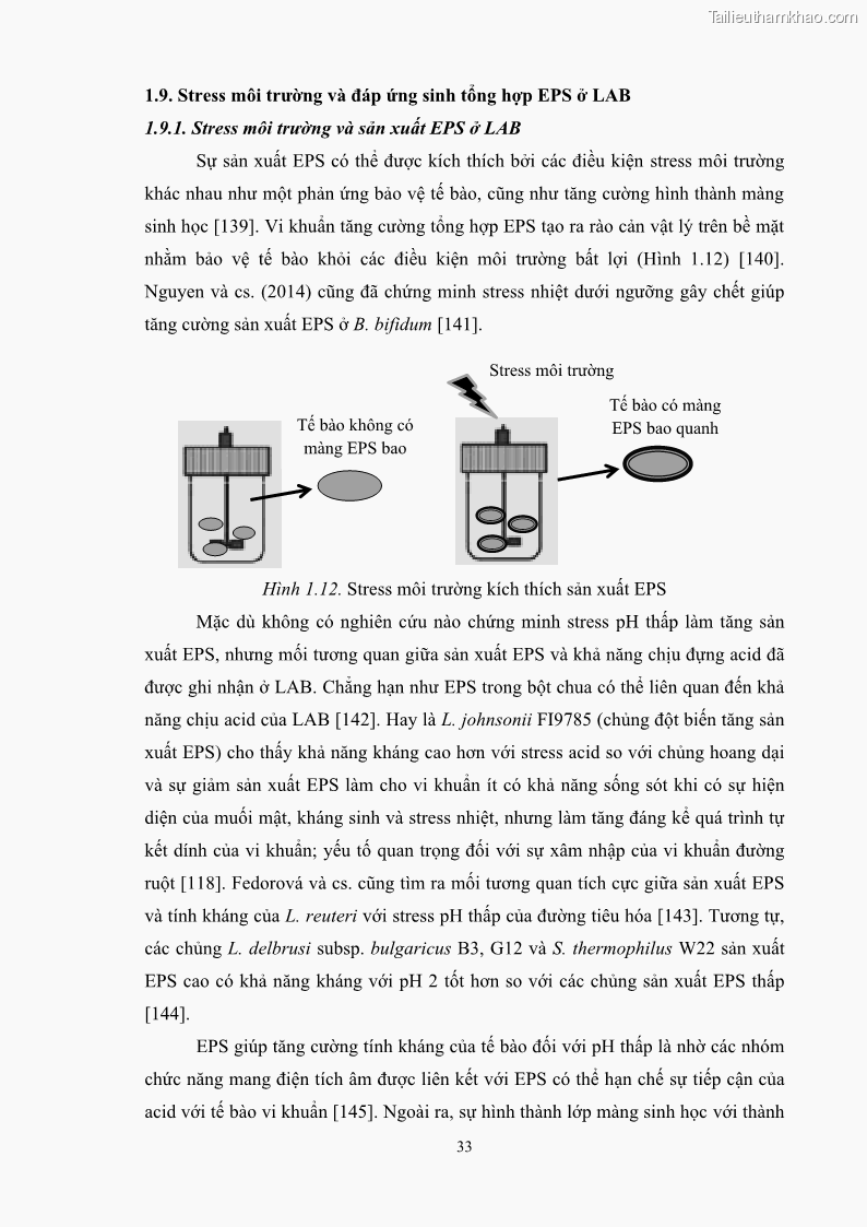 Luận án tiến sĩ công nghệ sinh học Nghiên cứu các điều kiện stress môi trường đến khả năng tổng hợp exopolysaccharides của vi khuẩn Lactobacillus plantarum - 5 Trang 49
