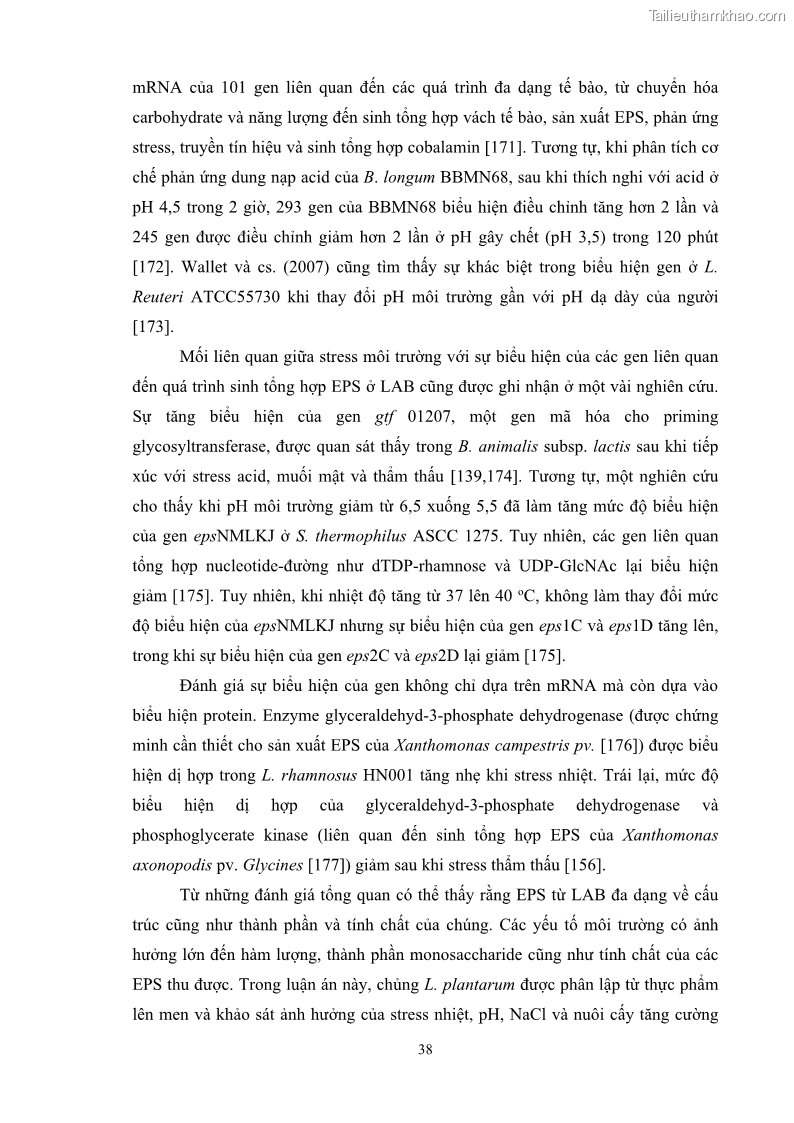Luận án tiến sĩ công nghệ sinh học Nghiên cứu các điều kiện stress môi trường đến khả năng tổng hợp exopolysaccharides của vi khuẩn Lactobacillus plantarum - 5 Trang 54
