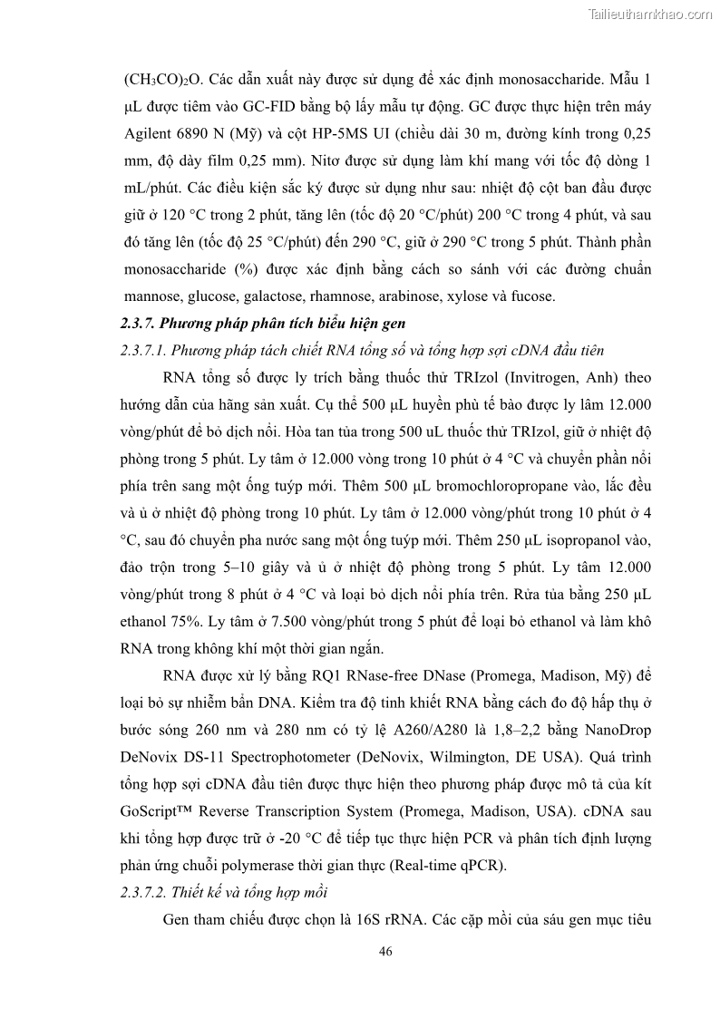 Luận án tiến sĩ công nghệ sinh học Nghiên cứu các điều kiện stress môi trường đến khả năng tổng hợp exopolysaccharides của vi khuẩn Lactobacillus plantarum - 6 Trang 62