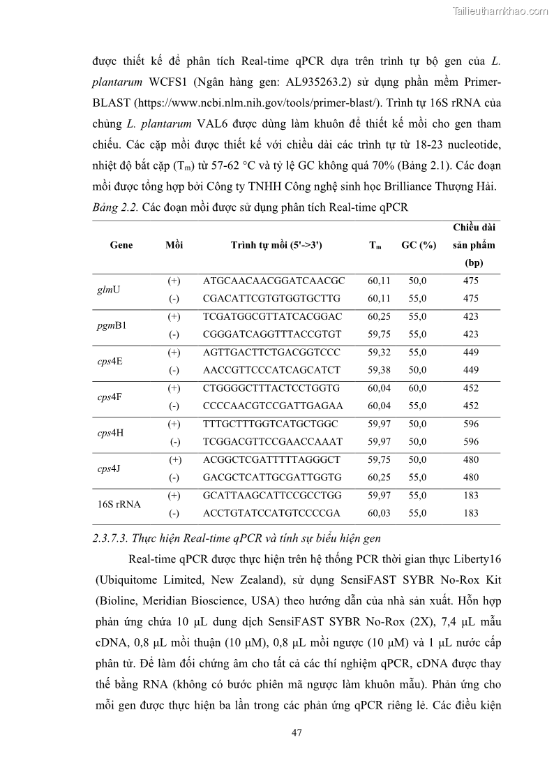 Luận án tiến sĩ công nghệ sinh học Nghiên cứu các điều kiện stress môi trường đến khả năng tổng hợp exopolysaccharides của vi khuẩn Lactobacillus plantarum - 6 Trang 63