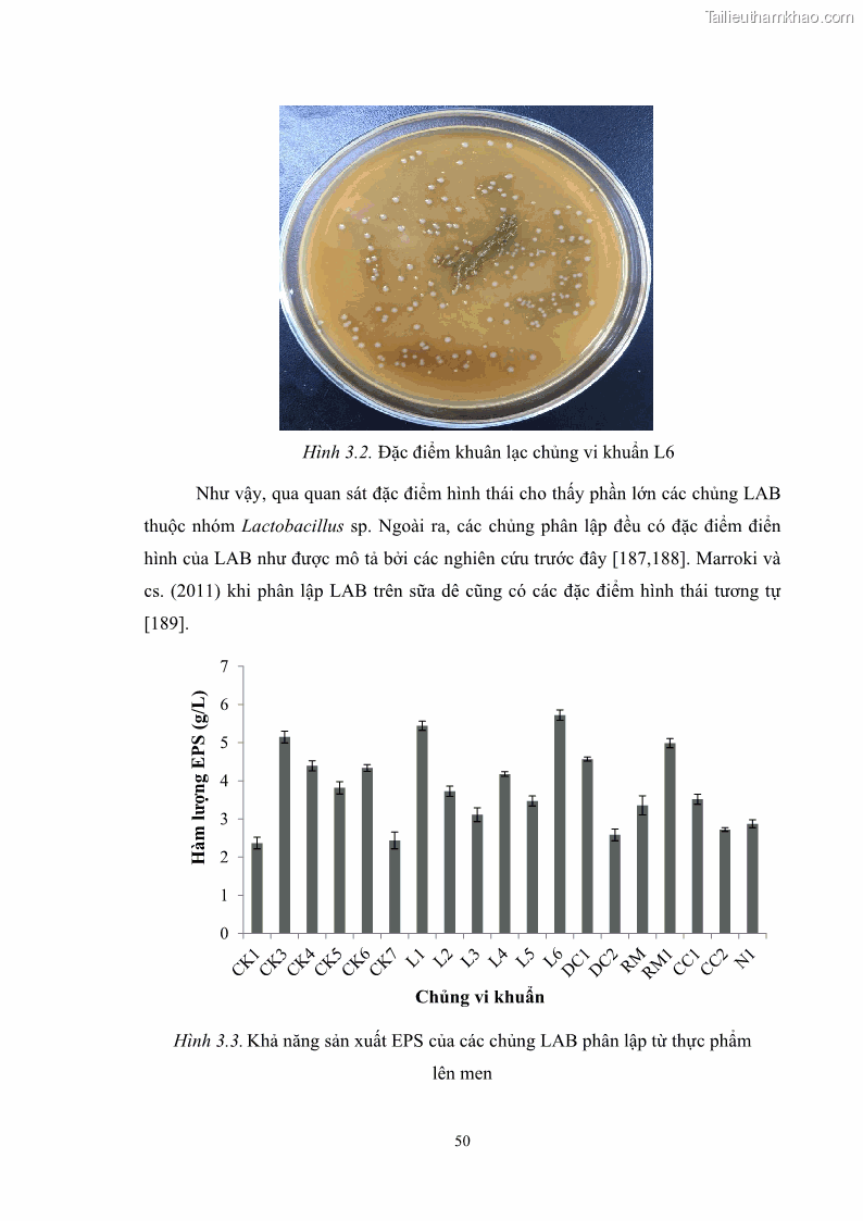 Luận án tiến sĩ công nghệ sinh học Nghiên cứu các điều kiện stress môi trường đến khả năng tổng hợp exopolysaccharides của vi khuẩn Lactobacillus plantarum - 6 Trang 66