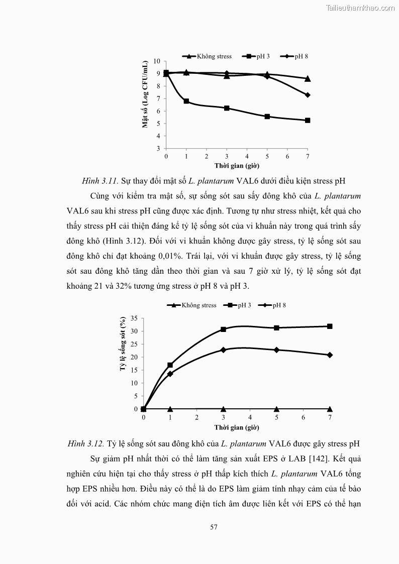 Luận án tiến sĩ công nghệ sinh học Nghiên cứu các điều kiện stress môi trường đến khả năng tổng hợp exopolysaccharides của vi khuẩn Lactobacillus plantarum - 7 Trang 73