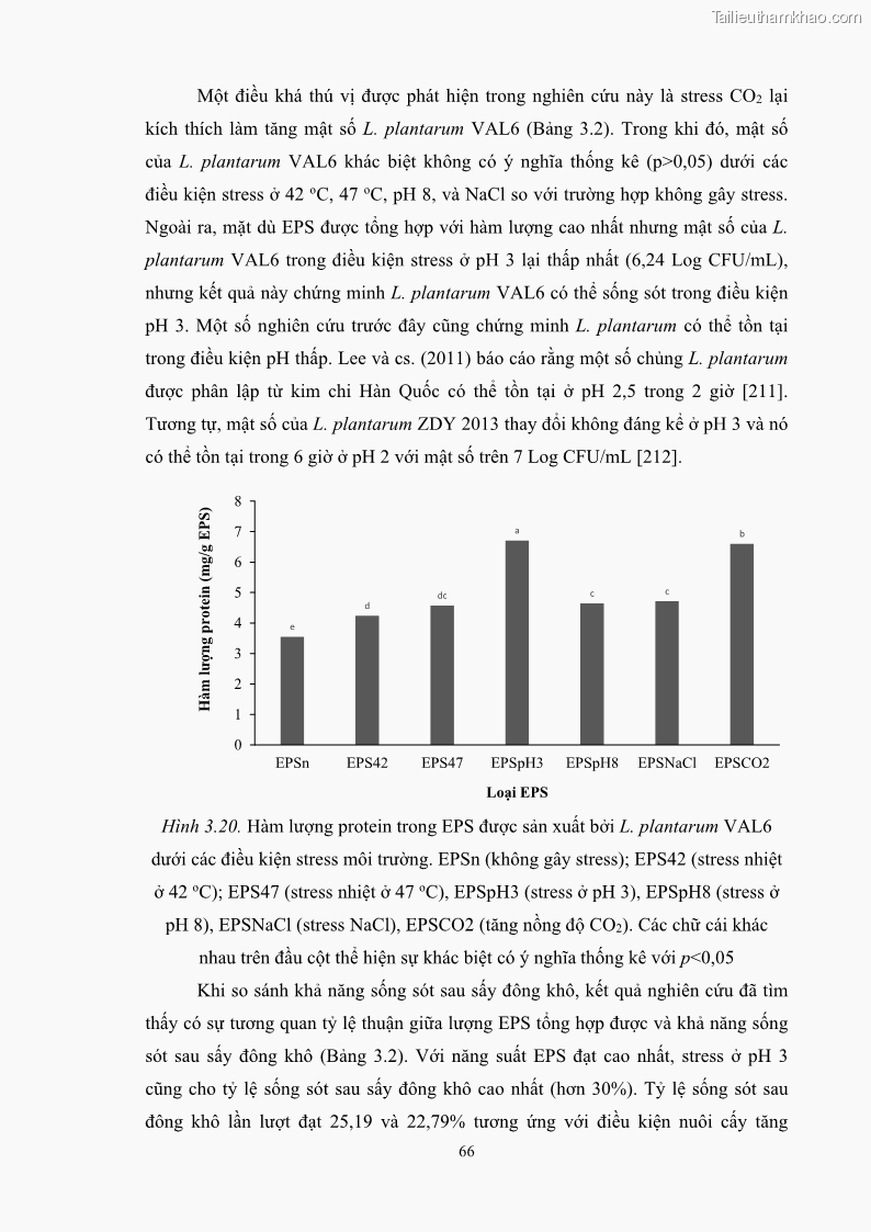 Luận án tiến sĩ công nghệ sinh học Nghiên cứu các điều kiện stress môi trường đến khả năng tổng hợp exopolysaccharides của vi khuẩn Lactobacillus plantarum - 7 Trang 82