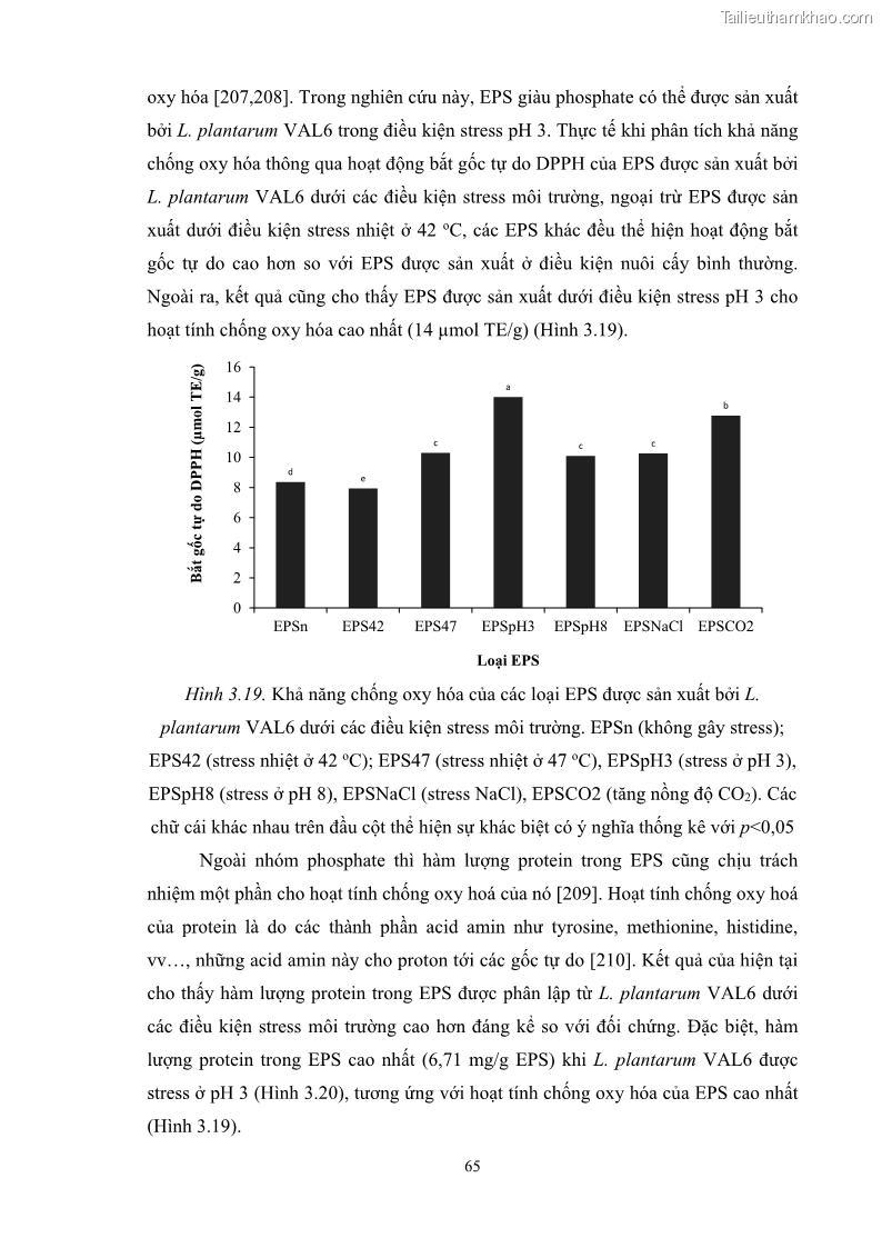 Luận án tiến sĩ công nghệ sinh học Nghiên cứu các điều kiện stress môi trường đến khả năng tổng hợp exopolysaccharides của vi khuẩn Lactobacillus plantarum - 7 Trang 81