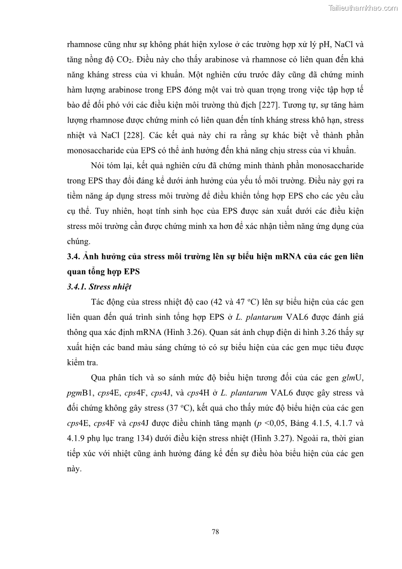 Luận án tiến sĩ công nghệ sinh học Nghiên cứu các điều kiện stress môi trường đến khả năng tổng hợp exopolysaccharides của vi khuẩn Lactobacillus plantarum - 8 Trang 94