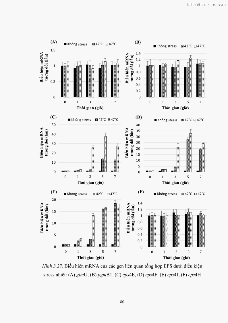 Luận án tiến sĩ công nghệ sinh học Nghiên cứu các điều kiện stress môi trường đến khả năng tổng hợp exopolysaccharides của vi khuẩn Lactobacillus plantarum - 8 Trang 96