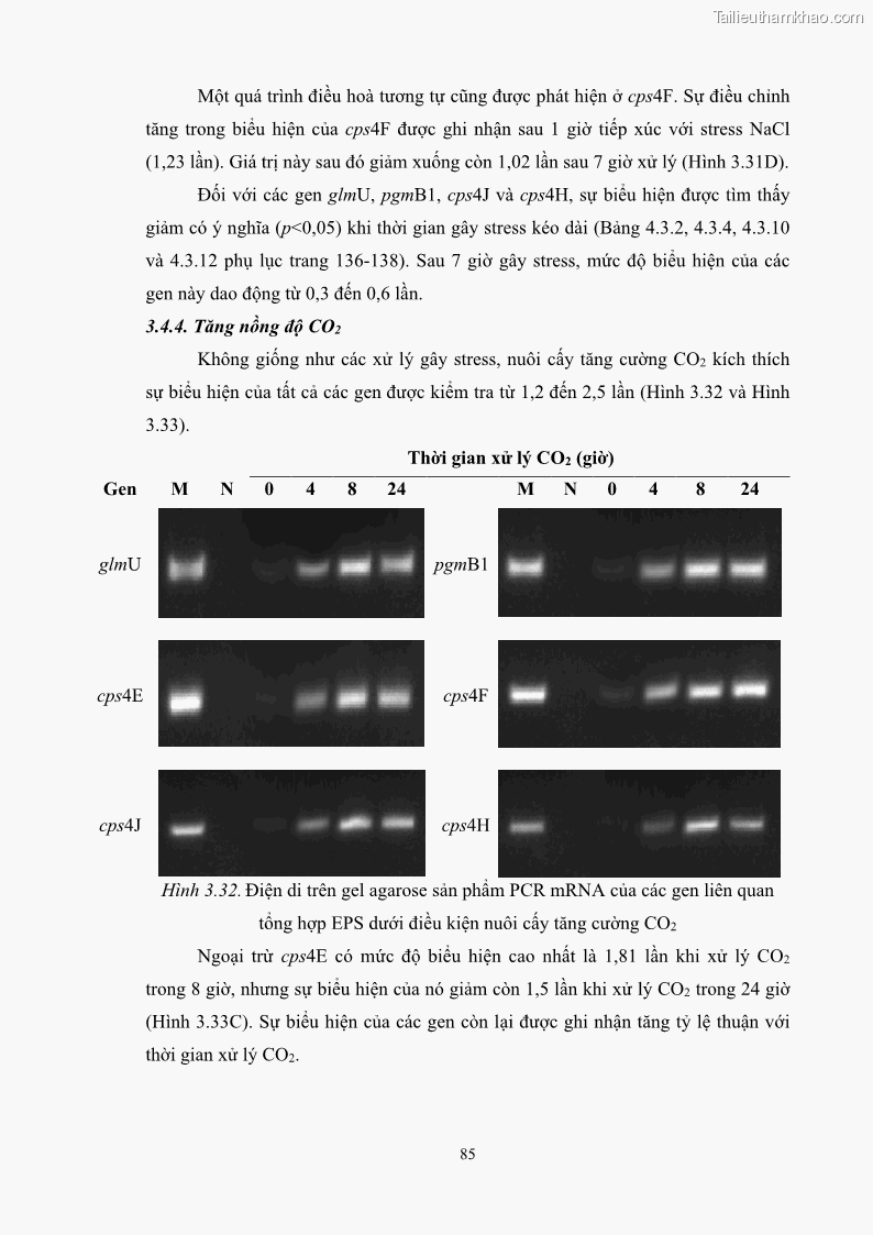 Luận án tiến sĩ công nghệ sinh học Nghiên cứu các điều kiện stress môi trường đến khả năng tổng hợp exopolysaccharides của vi khuẩn Lactobacillus plantarum - 9 Trang 101