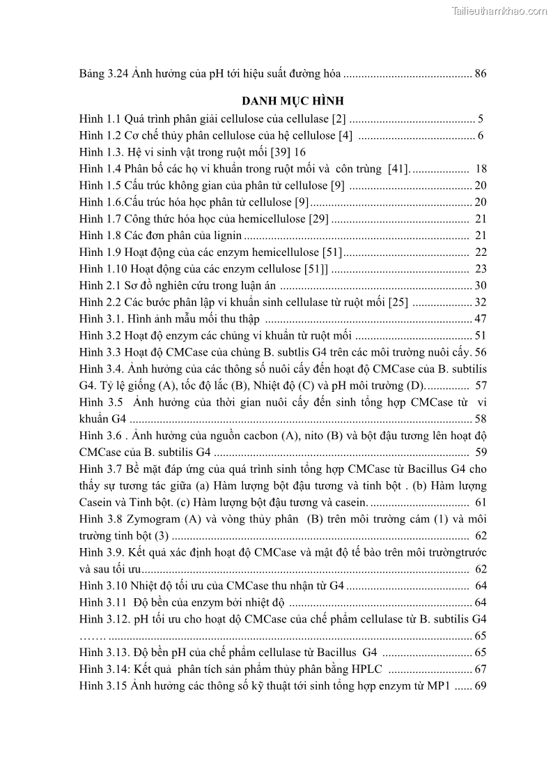 Luận án tiến sĩ công nghệ sinh học Nghiên cứu cellulase từ vi khuẩn ruột mối phân lập ở Việt Nam - 1 Trang 12