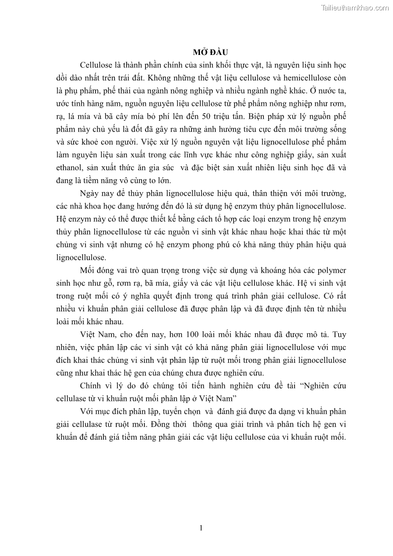 Luận án tiến sĩ công nghệ sinh học Nghiên cứu cellulase từ vi khuẩn ruột mối phân lập ở Việt Nam - 2 Trang 14