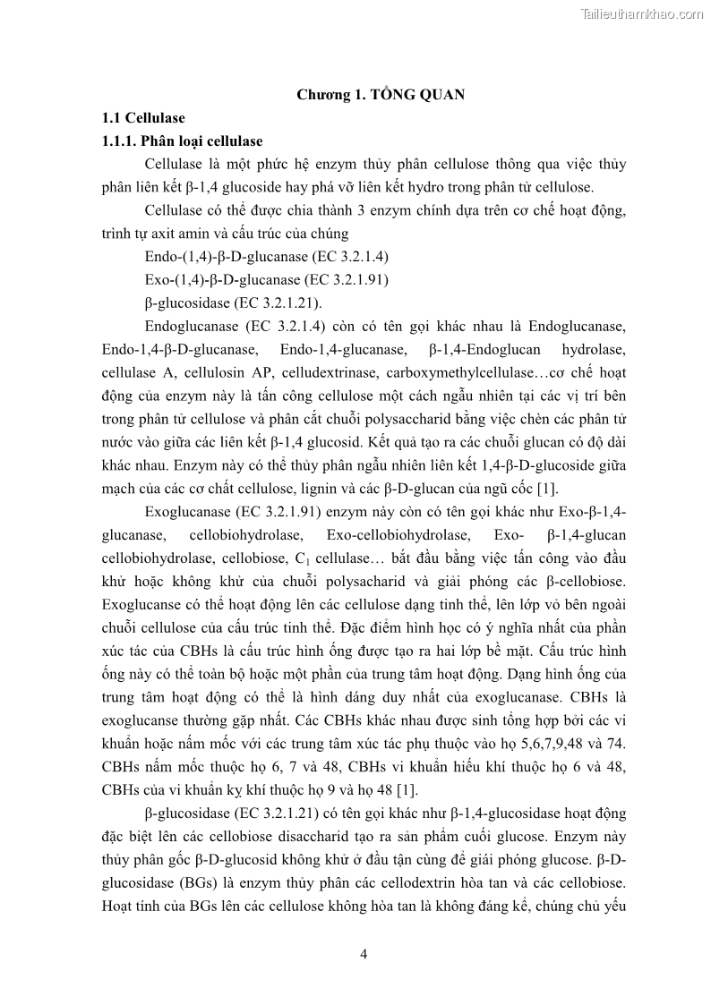 Luận án tiến sĩ công nghệ sinh học Nghiên cứu cellulase từ vi khuẩn ruột mối phân lập ở Việt Nam - 2 Trang 17