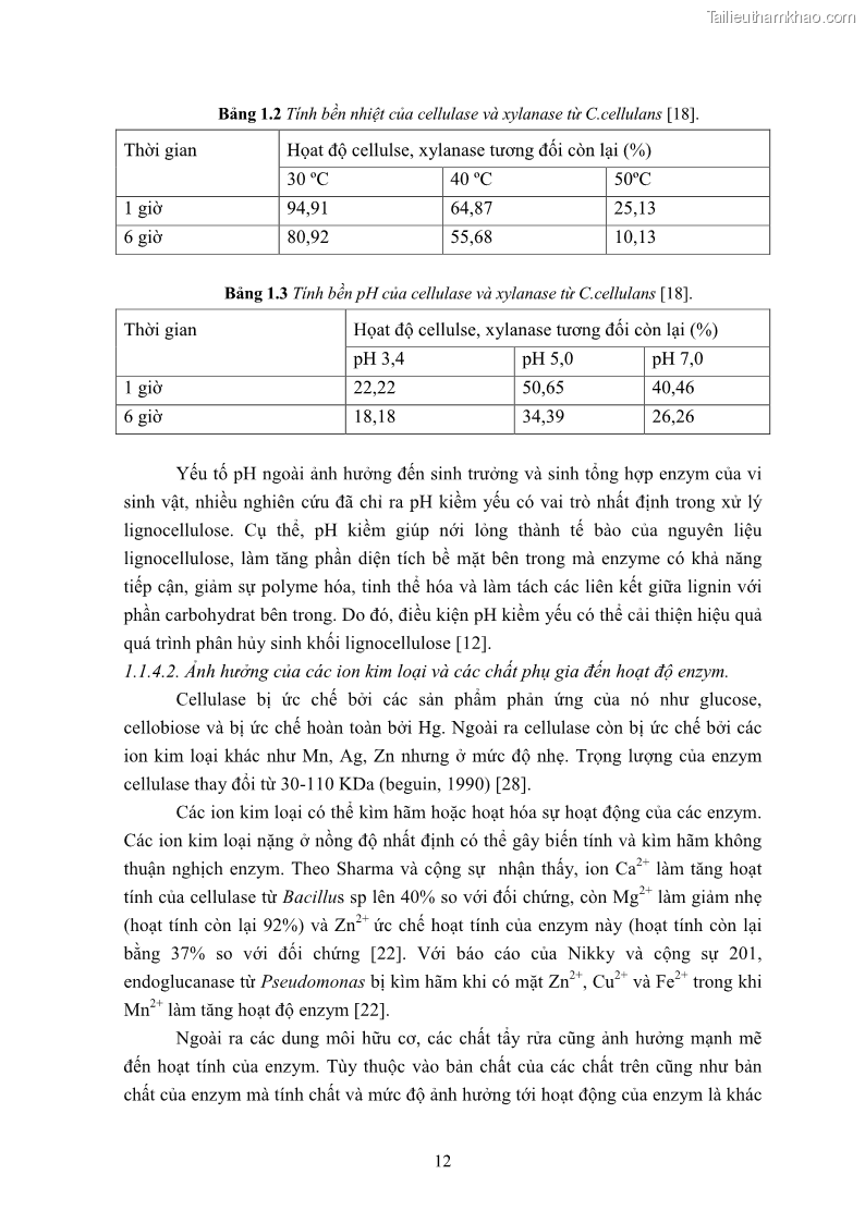 Luận án tiến sĩ công nghệ sinh học Nghiên cứu cellulase từ vi khuẩn ruột mối phân lập ở Việt Nam - 3 Trang 25