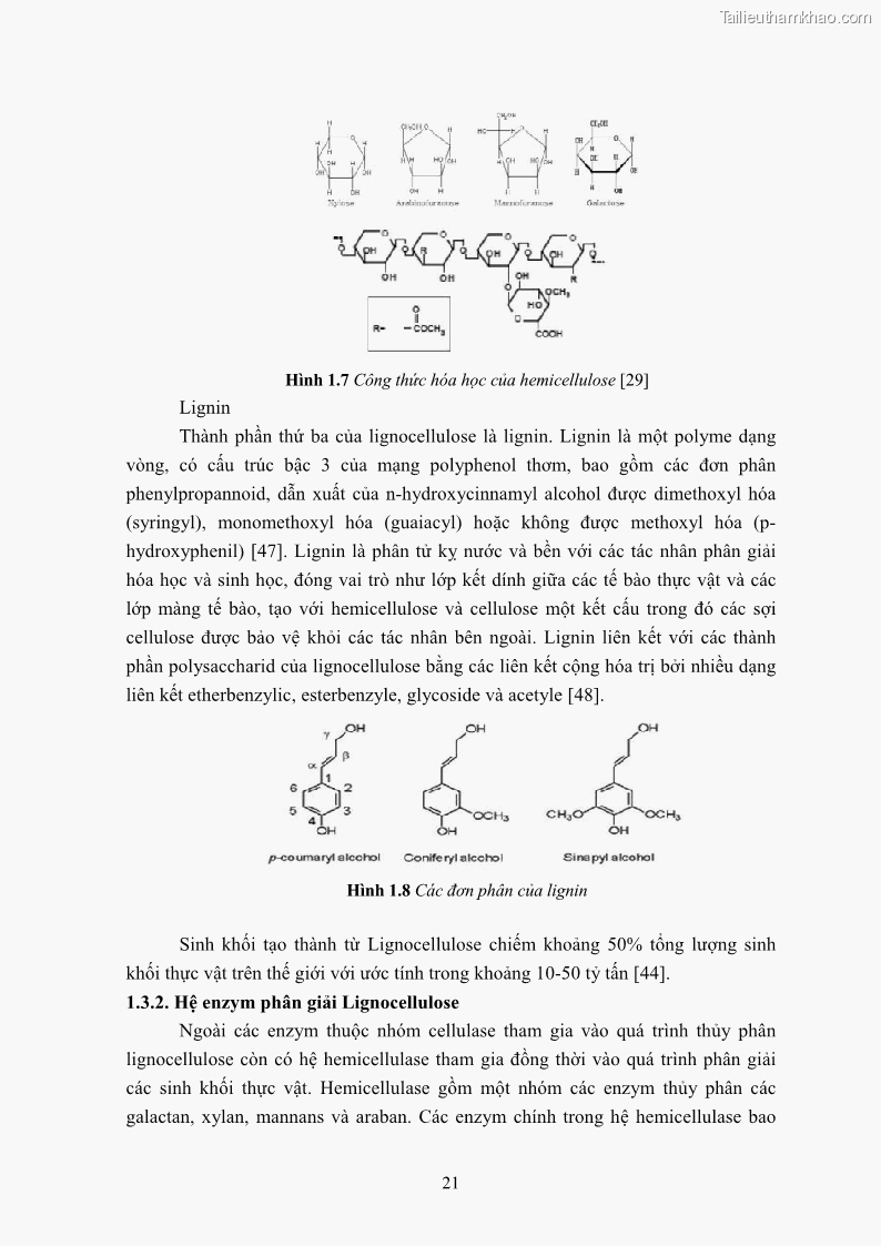 Luận án tiến sĩ công nghệ sinh học Nghiên cứu cellulase từ vi khuẩn ruột mối phân lập ở Việt Nam - 3 Trang 34