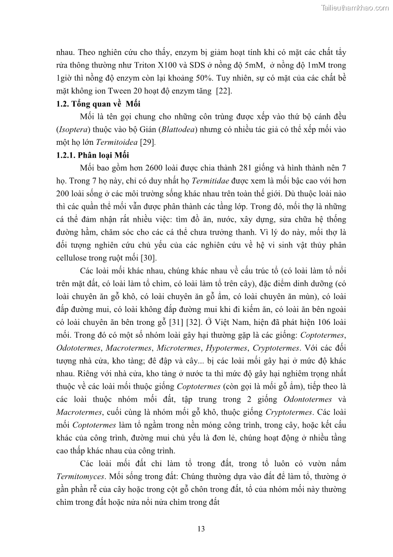 Luận án tiến sĩ công nghệ sinh học Nghiên cứu cellulase từ vi khuẩn ruột mối phân lập ở Việt Nam - 3 Trang 26