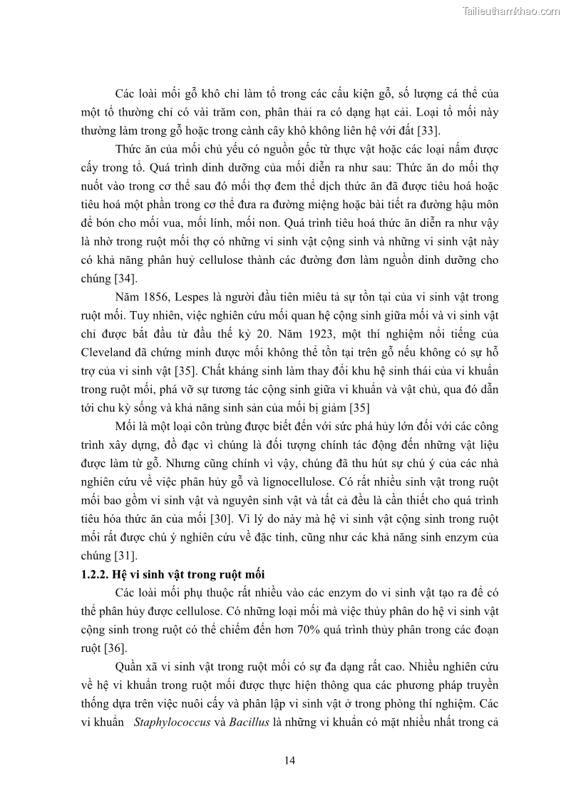 Luận án tiến sĩ công nghệ sinh học Nghiên cứu cellulase từ vi khuẩn ruột mối phân lập ở Việt Nam - 3 Trang 27
