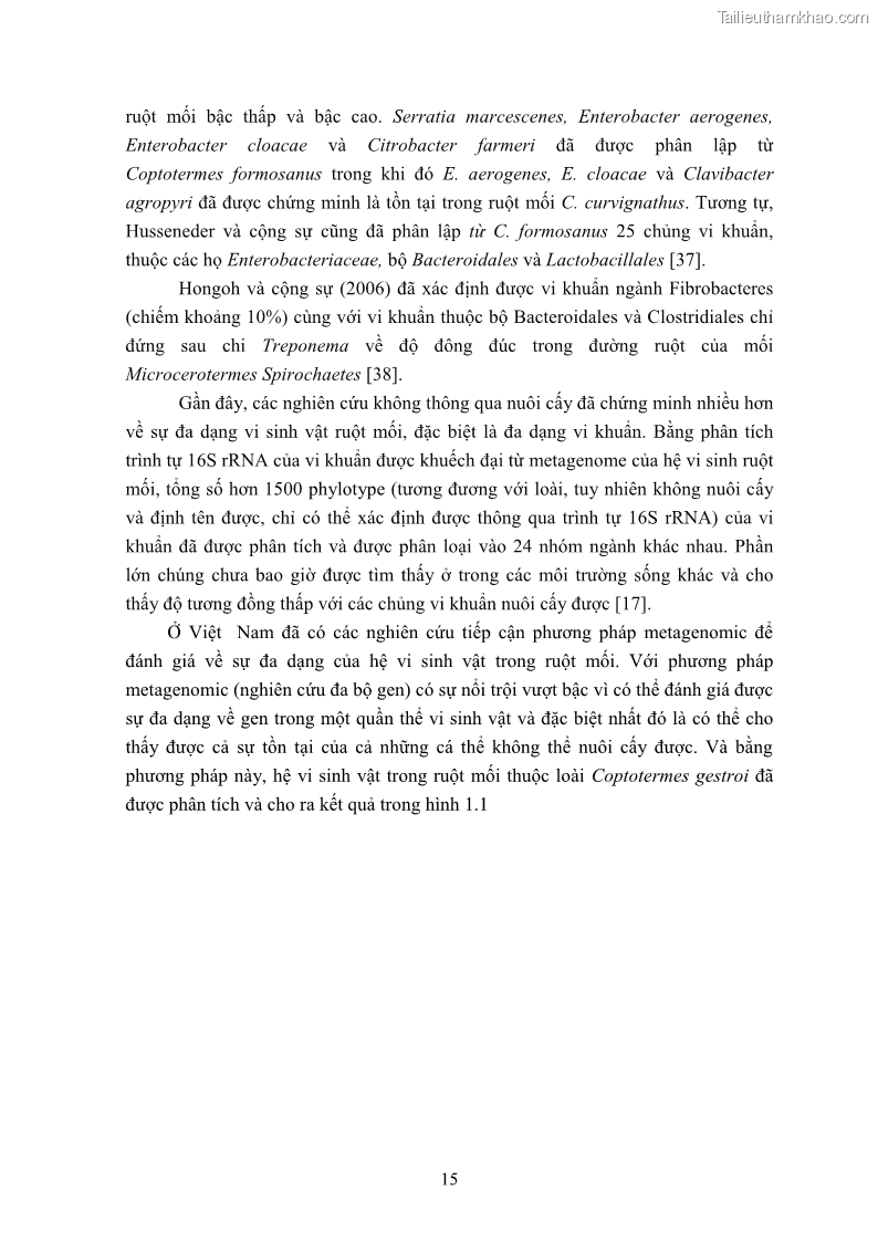 Luận án tiến sĩ công nghệ sinh học Nghiên cứu cellulase từ vi khuẩn ruột mối phân lập ở Việt Nam - 3 Trang 28