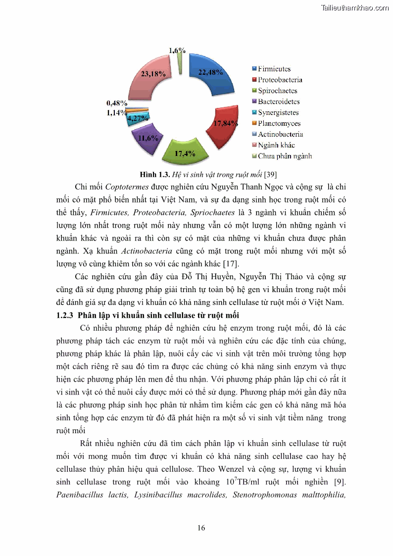Luận án tiến sĩ công nghệ sinh học Nghiên cứu cellulase từ vi khuẩn ruột mối phân lập ở Việt Nam - 3 Trang 29