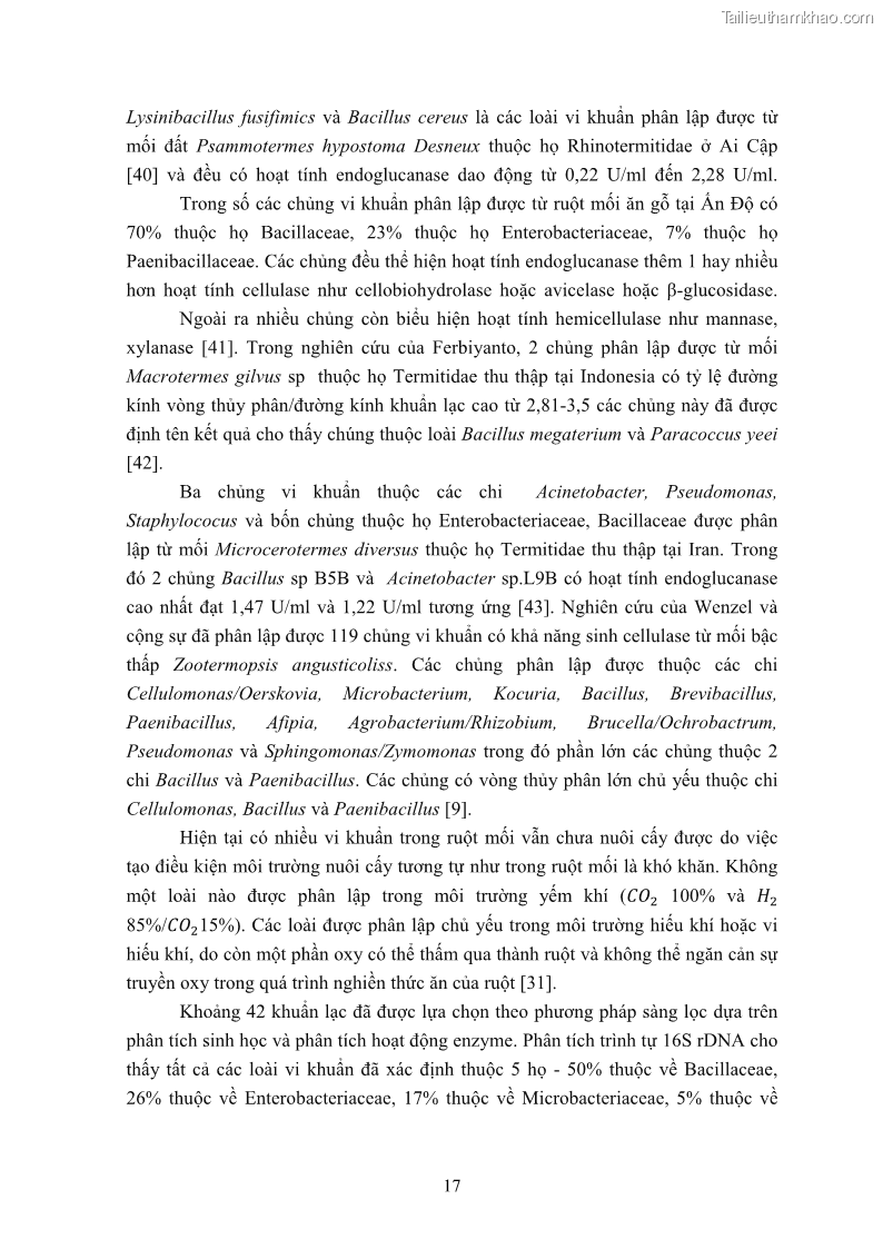 Luận án tiến sĩ công nghệ sinh học Nghiên cứu cellulase từ vi khuẩn ruột mối phân lập ở Việt Nam - 3 Trang 30