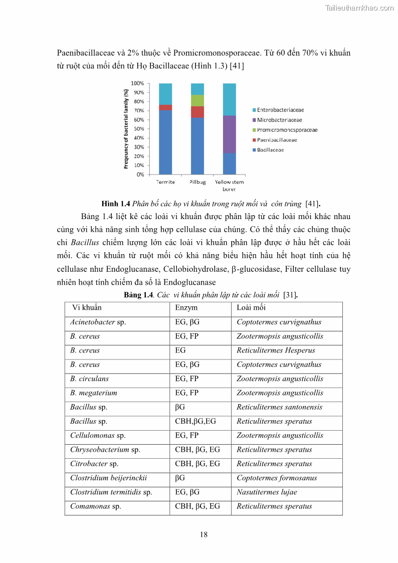 Luận án tiến sĩ công nghệ sinh học Nghiên cứu cellulase từ vi khuẩn ruột mối phân lập ở Việt Nam - 3 Trang 31