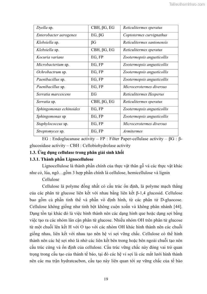 Luận án tiến sĩ công nghệ sinh học Nghiên cứu cellulase từ vi khuẩn ruột mối phân lập ở Việt Nam - 3 Trang 32