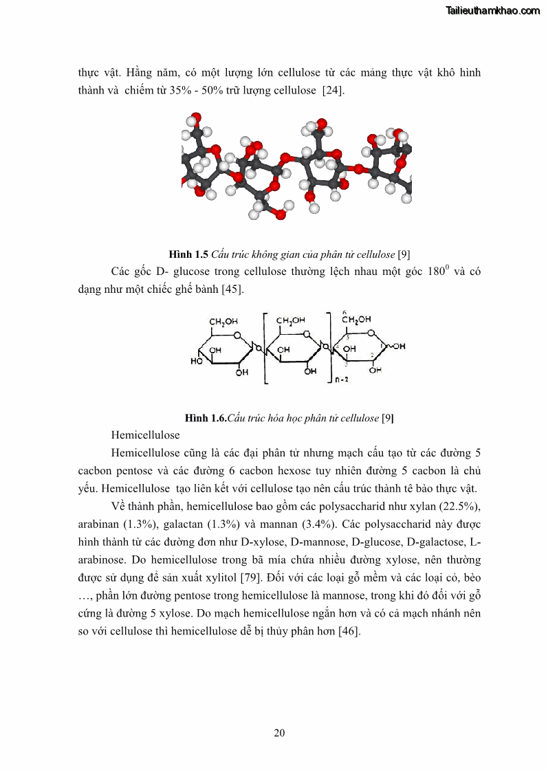 Luận án tiến sĩ công nghệ sinh học Nghiên cứu cellulase từ vi khuẩn ruột mối phân lập ở Việt Nam - 3 Trang 33