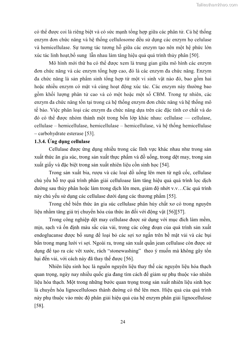 Luận án tiến sĩ công nghệ sinh học Nghiên cứu cellulase từ vi khuẩn ruột mối phân lập ở Việt Nam - 4 Trang 37
