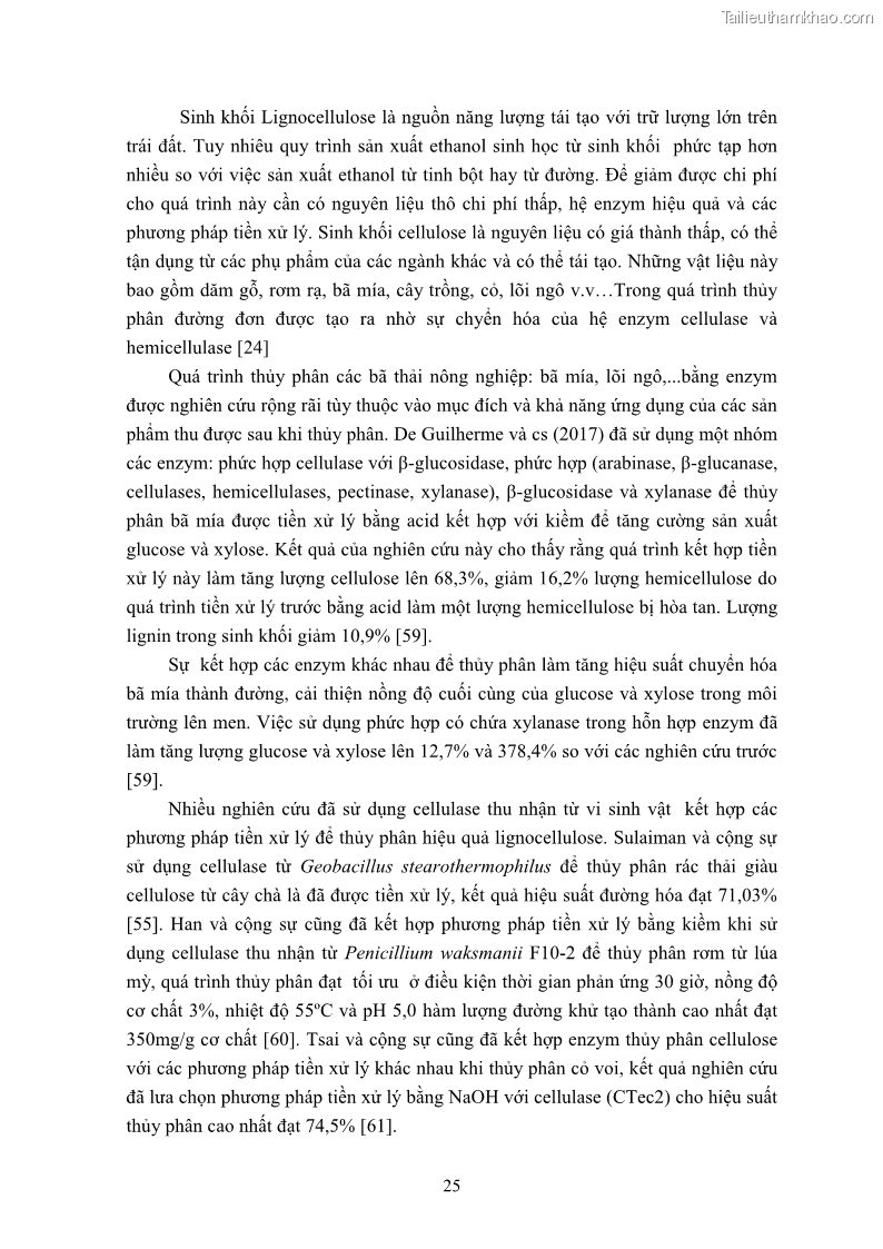 Luận án tiến sĩ công nghệ sinh học Nghiên cứu cellulase từ vi khuẩn ruột mối phân lập ở Việt Nam - 4 Trang 38