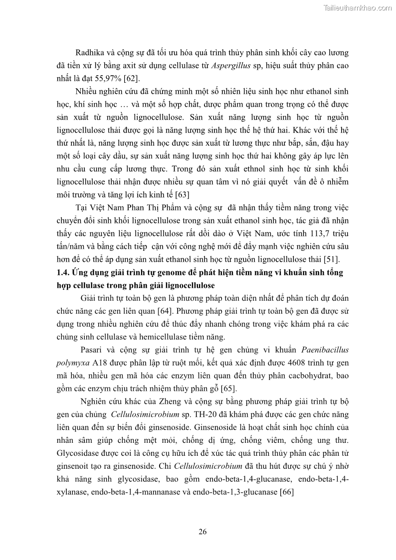 Luận án tiến sĩ công nghệ sinh học Nghiên cứu cellulase từ vi khuẩn ruột mối phân lập ở Việt Nam - 4 Trang 39