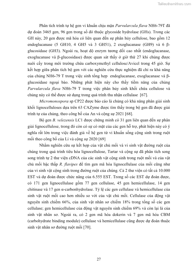 Luận án tiến sĩ công nghệ sinh học Nghiên cứu cellulase từ vi khuẩn ruột mối phân lập ở Việt Nam - 4 Trang 40