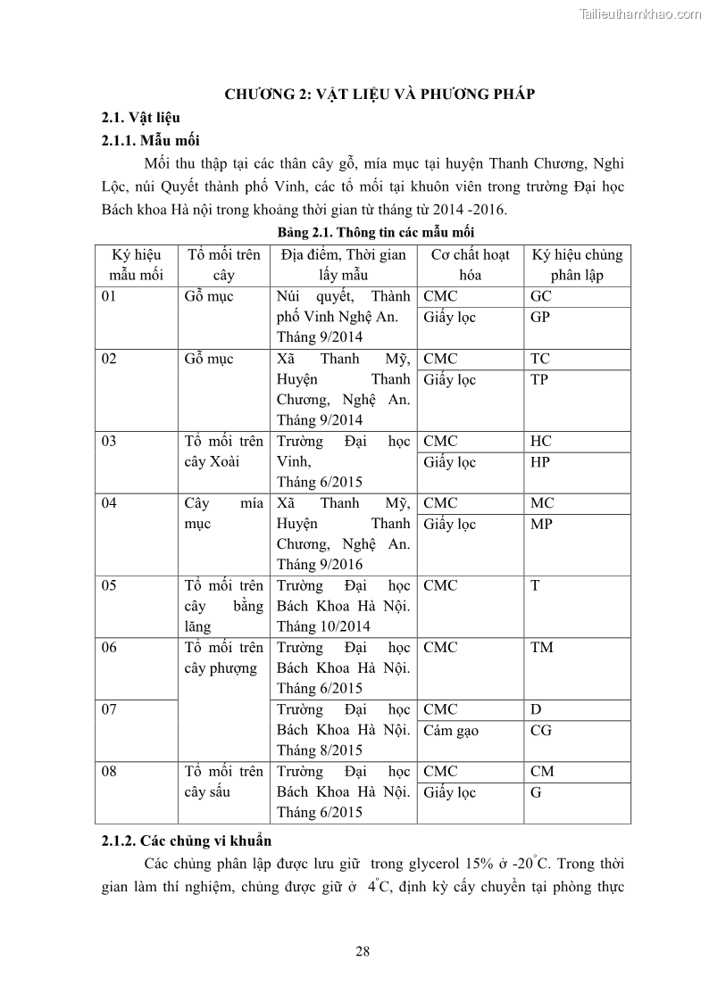 Luận án tiến sĩ công nghệ sinh học Nghiên cứu cellulase từ vi khuẩn ruột mối phân lập ở Việt Nam - 4 Trang 41