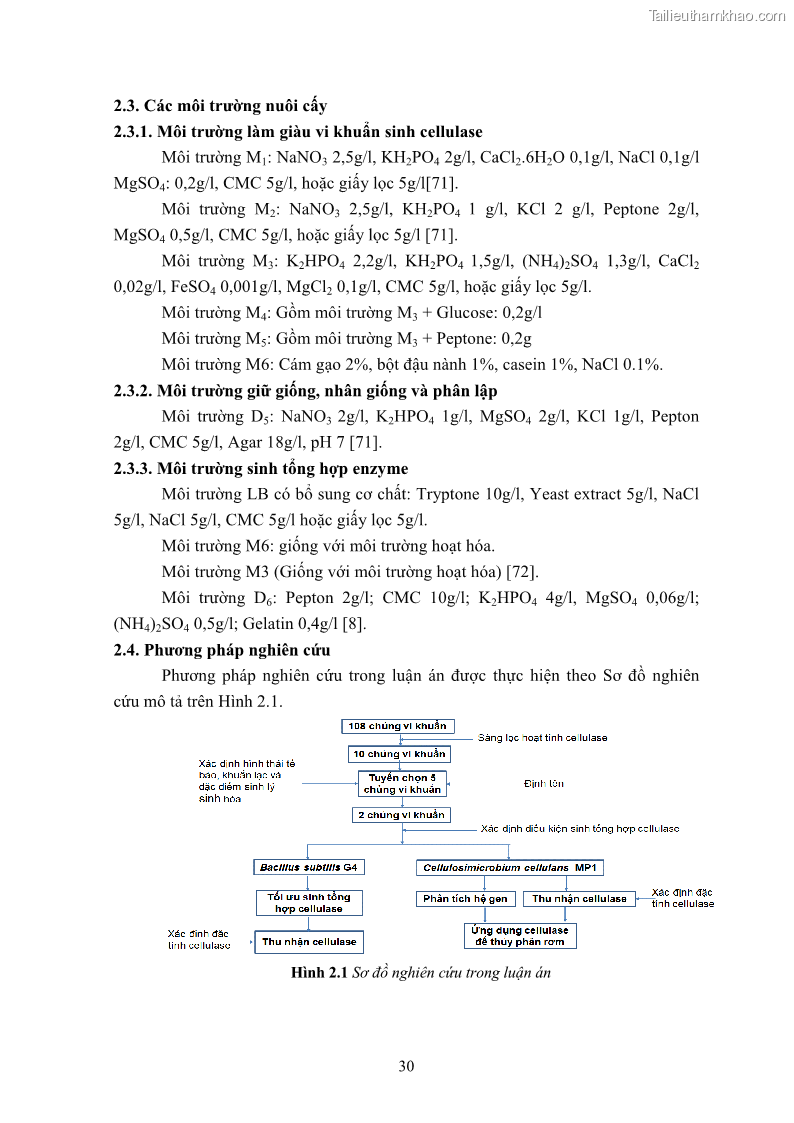 Luận án tiến sĩ công nghệ sinh học Nghiên cứu cellulase từ vi khuẩn ruột mối phân lập ở Việt Nam - 4 Trang 43