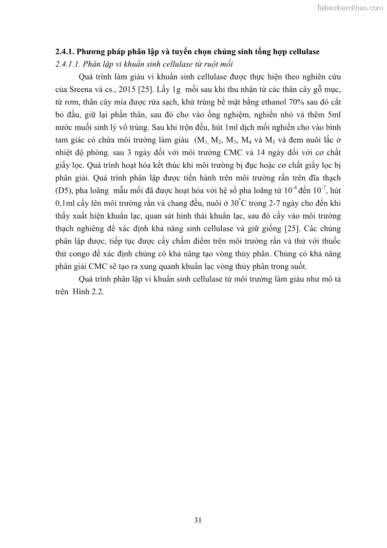 Luận án tiến sĩ công nghệ sinh học Nghiên cứu cellulase từ vi khuẩn ruột mối phân lập ở Việt Nam - 4 Trang 44