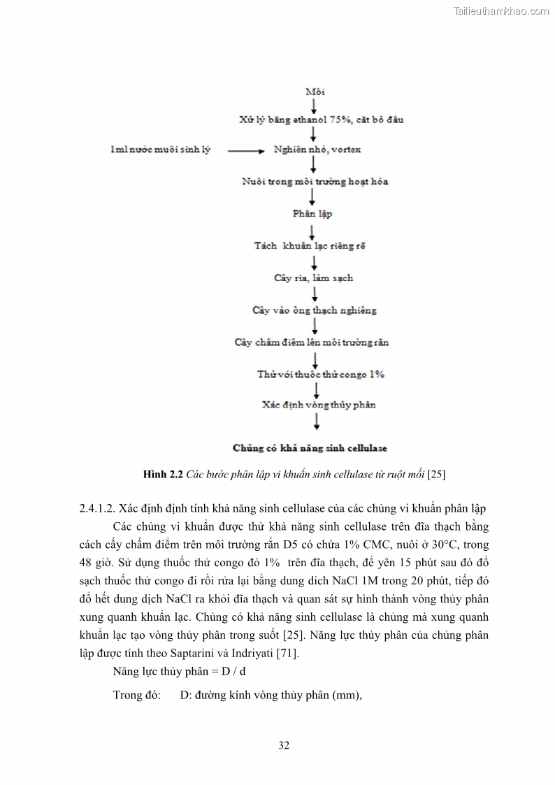 Luận án tiến sĩ công nghệ sinh học Nghiên cứu cellulase từ vi khuẩn ruột mối phân lập ở Việt Nam - 4 Trang 45