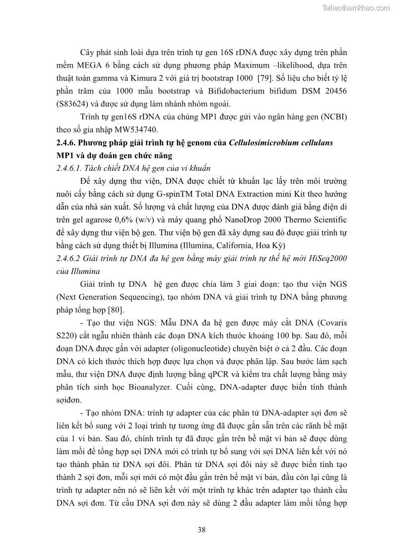 Luận án tiến sĩ công nghệ sinh học Nghiên cứu cellulase từ vi khuẩn ruột mối phân lập ở Việt Nam - 5 Trang 51